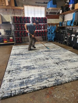 Area Rug Cleaning in Summit, NJ (3)