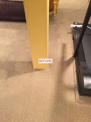 Before & After Carpet Cleaning in Union, NJ (1)