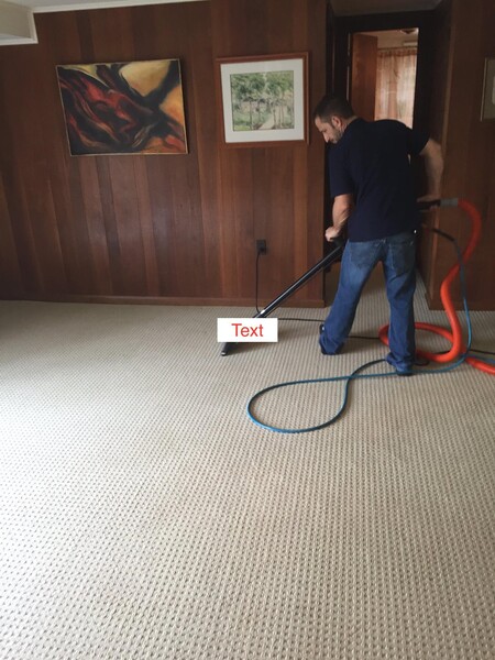 Carpet Cleaning in Edison, NJ (1)