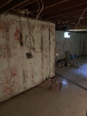 Before & After Mold Removal in Plainfield, NJ (1)