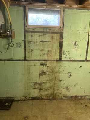 Before & After Mold Removal in Plainfield, NJ (2)